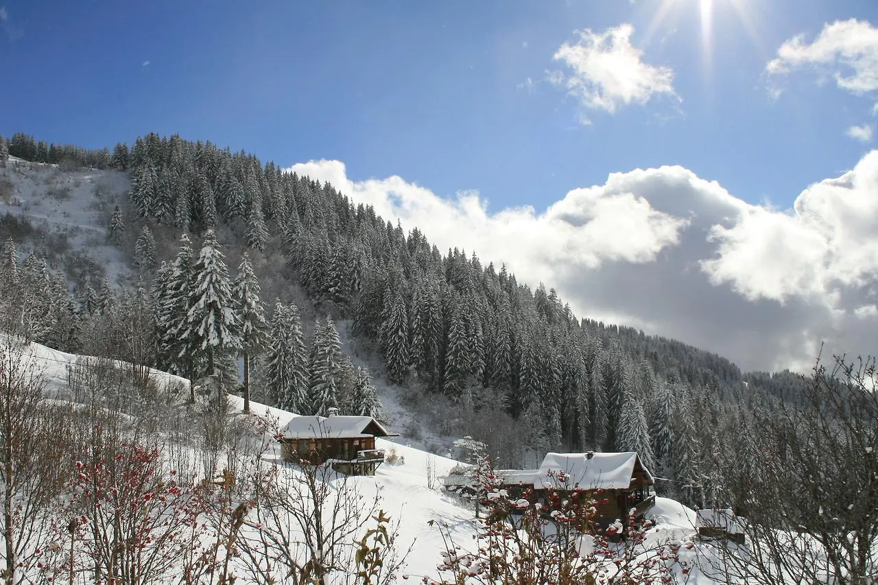 La Chanterelle - Mountain Lodge La Cote d'Arbroz France